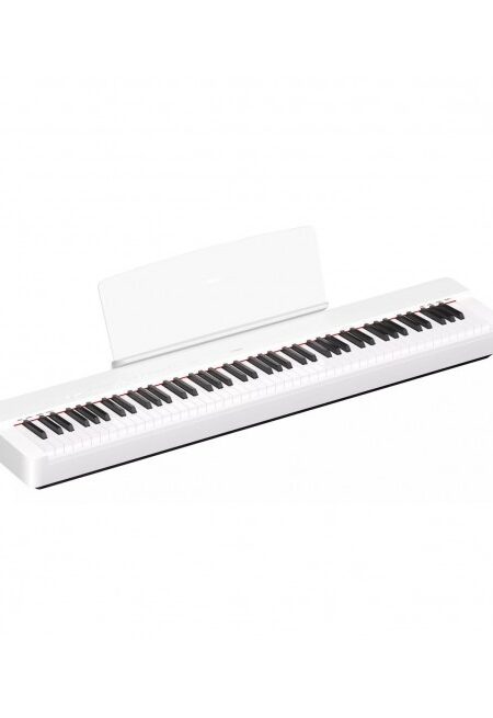 PIANO NUMERIQUE P-225WH